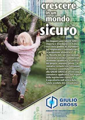 21grossalbero copia